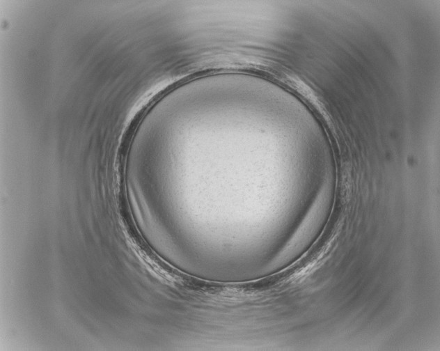 X0000057080787200510071844