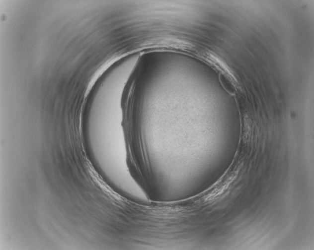 X0000057080788200510071844