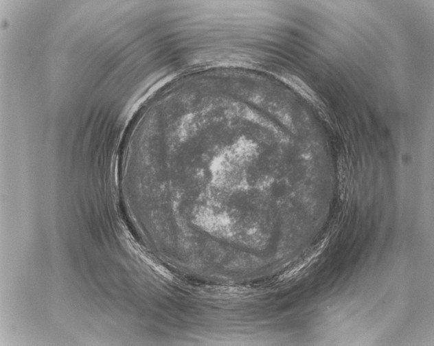 X0000057080790200510071844