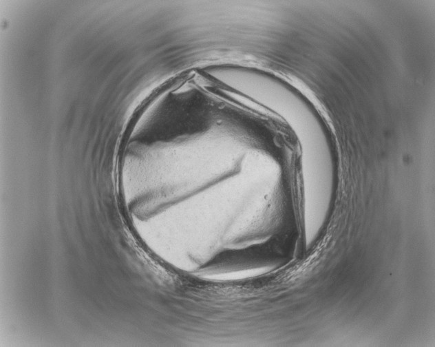 X0000057080791200510071844