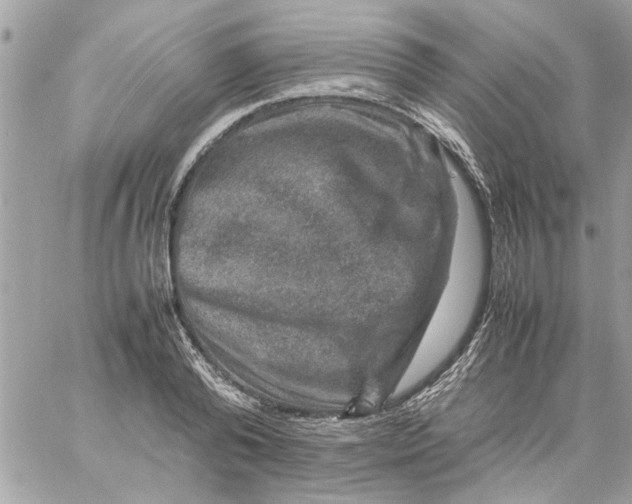 X0000057080792200510071844