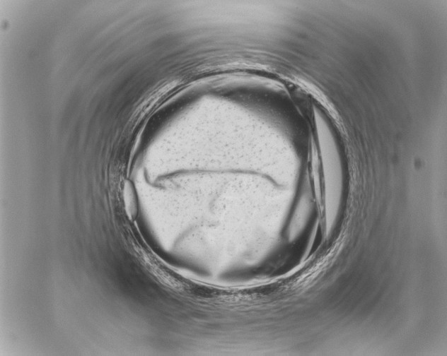 X0000057080793200510071844