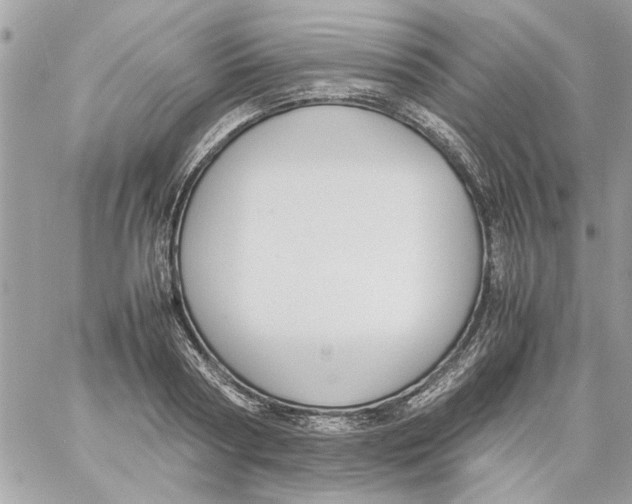 X0000057080794200510071844