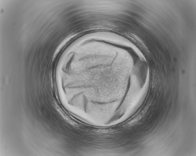 X0000057080796200510071844