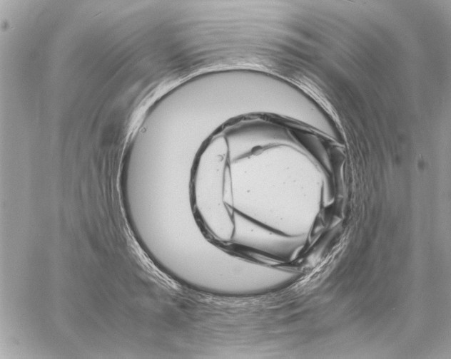 X0000057080797200510071844