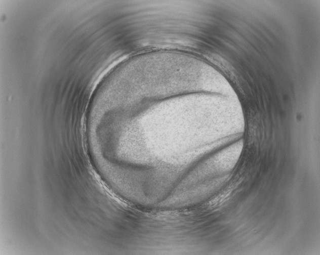 X0000057080798200510071844