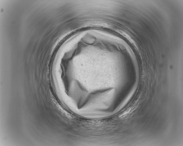 X0000057080799200510071844