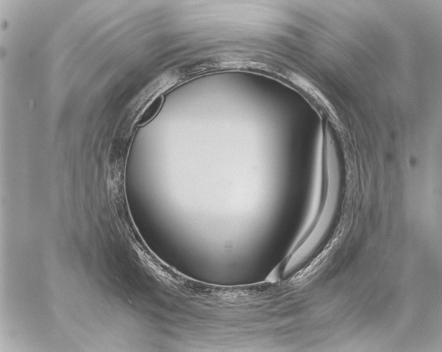 X0000057080801200510071844