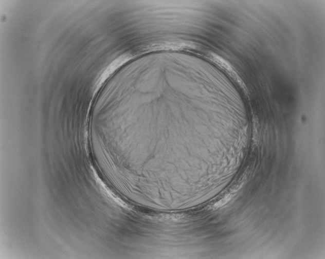 X0000057080802200510071844