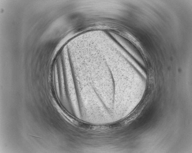 X0000057080803200510071844