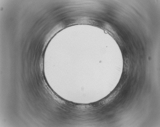 X0000057080804200510071844