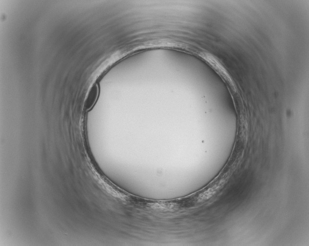 X0000057080805200510071844