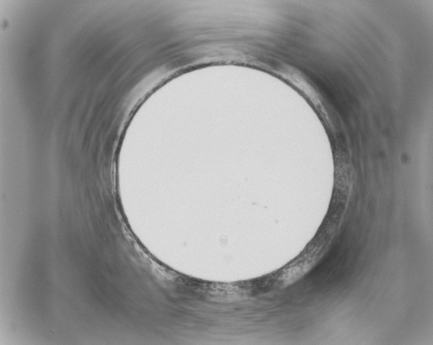 X0000057080807200510071844