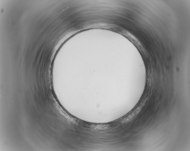 X0000057080808200510071844