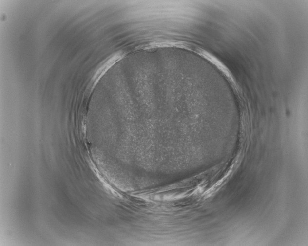 X0000057080809200510071844