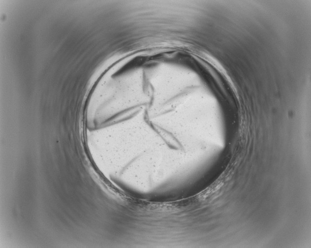 X0000057080811200510071844