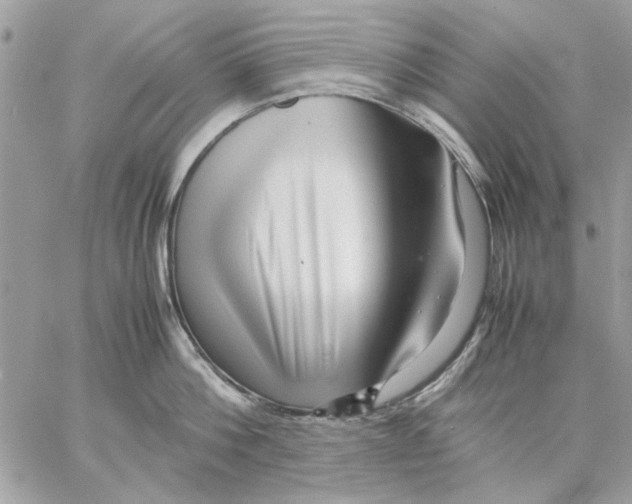 X0000057080812200510071844