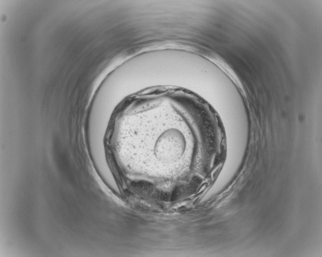 X0000057080813200510071844