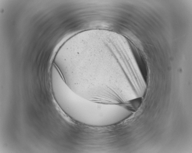 X0000057080816200510071843