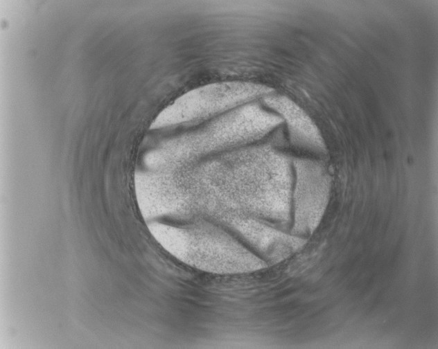 X0000057080817200510071843