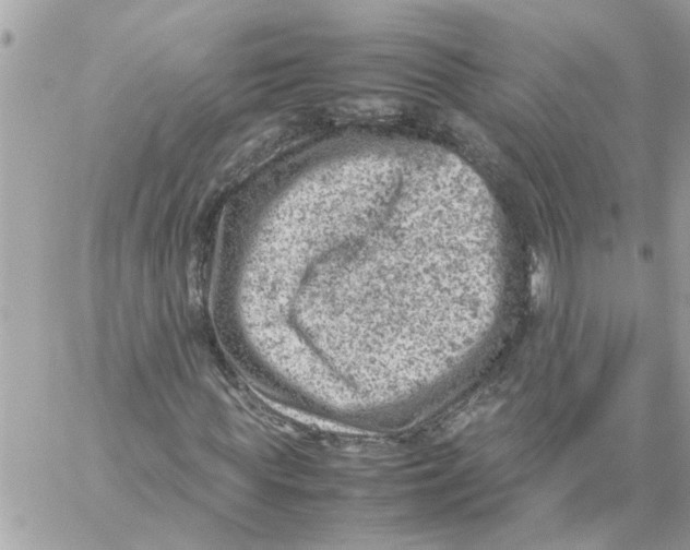 X0000057080819200510071843