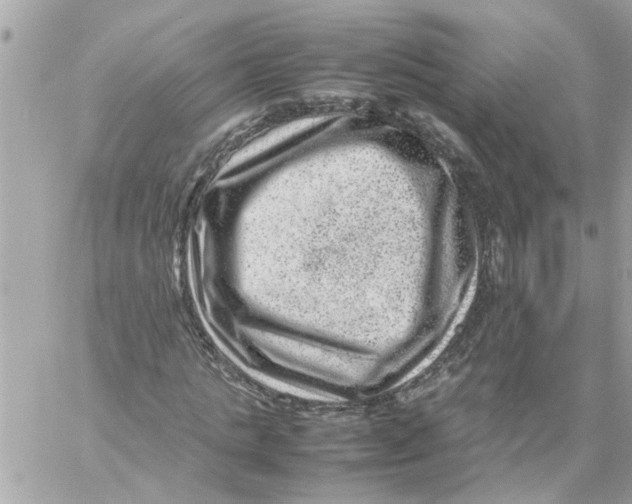 X0000057080821200510071843