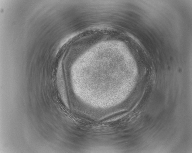 X0000057080823200510071843