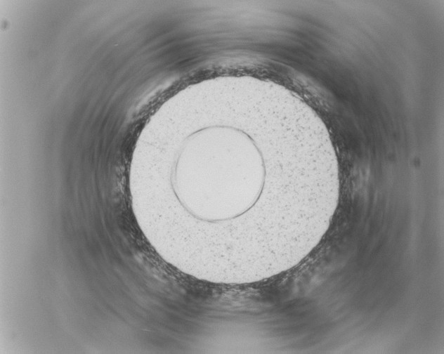 X0000057080824200510071843