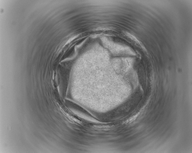 X0000057080825200510071843