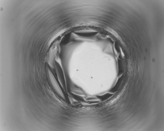 X0000057080826200510071843