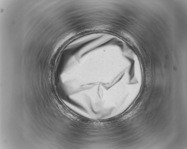 X0000057080827200510071843