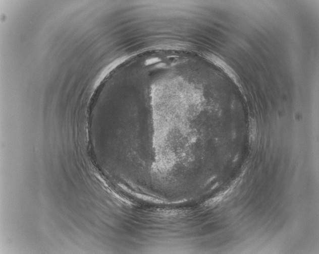 X0000057080829200510071843