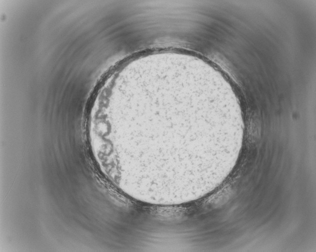 X0000057080832200510071843