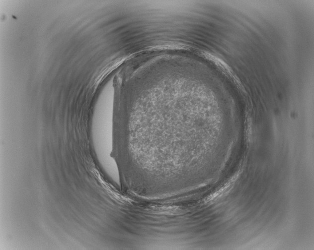 X0000057080833200510071843