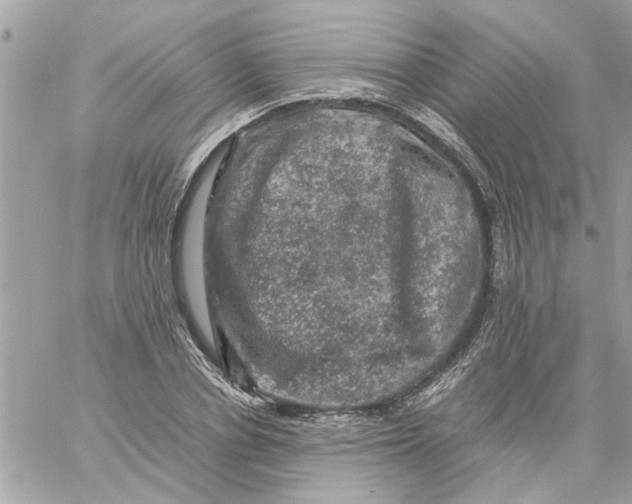 X0000057080834200510071843