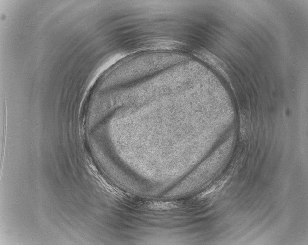 X0000057080835200510071843