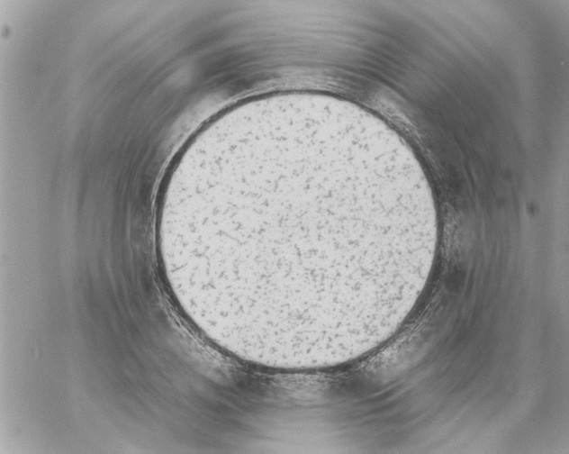 X0000057080836200510071843