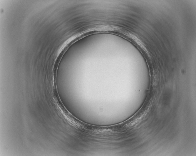 X0000057080837200510071843