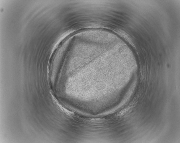 X0000057080839200510071843