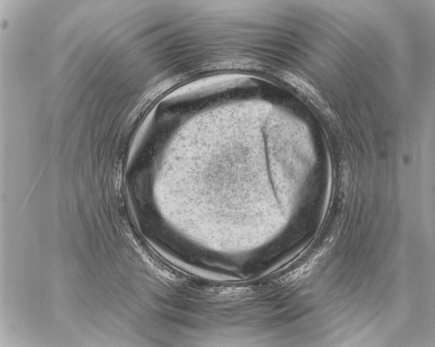 X0000057080841200510071843