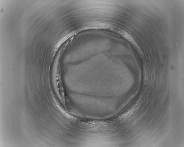 X0000057080842200510071843