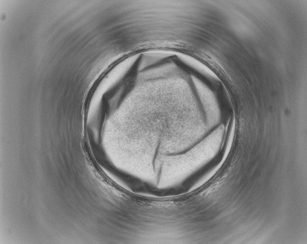 X0000057080844200510071843