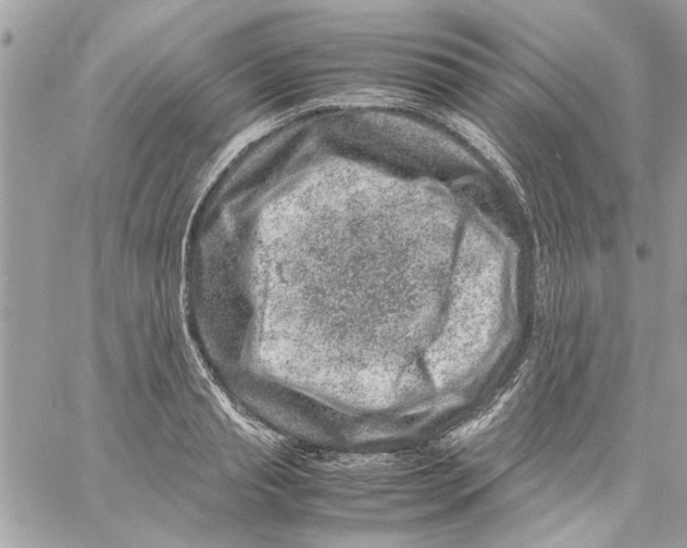 X0000057080845200510071843