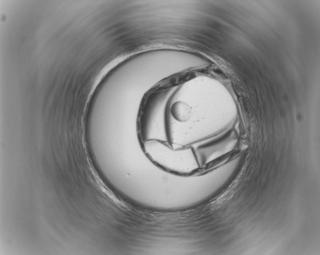 X0000057080846200510071843