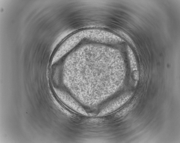 X0000057080847200510071843