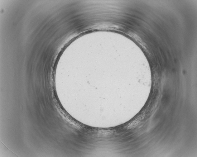 X0000057080848200510071843