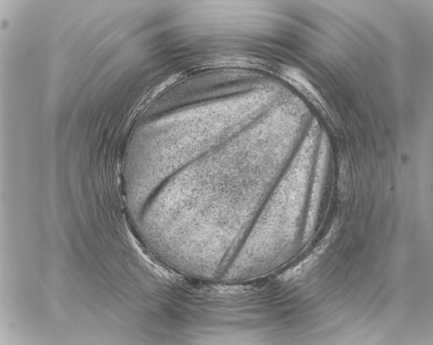 X0000057080849200510071843