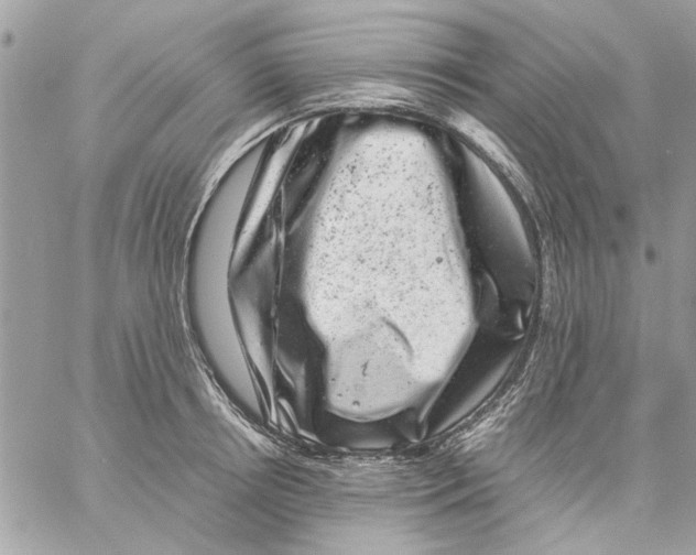 X0000057080850200510071843