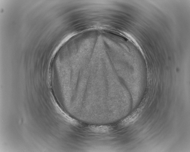 X0000057080851200510071843