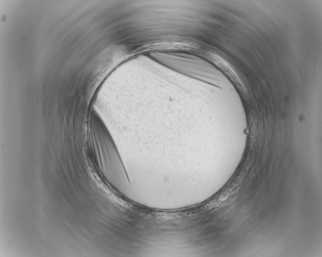 X0000057080852200510071843